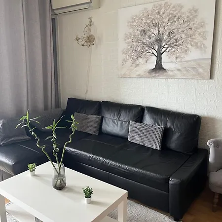 Joli Apartemo O Centro